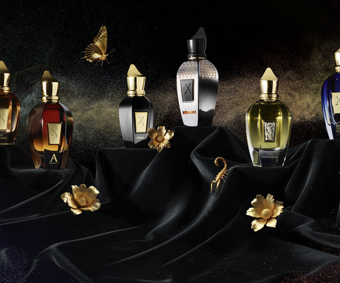 <h1>How can we help you?</h1>